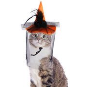 ペット服　クリスマス かわいい 面白い コスプレ 変装 犬 猫 ペット用品 帽子