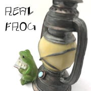 Real FROGシリーズ