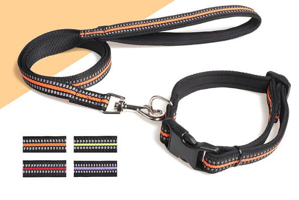 犬 首輪 ペット　牽引縄　牽引ロープ　犬服 の装身具　ペット用品　2点セット アクセサリー犬猫兼用