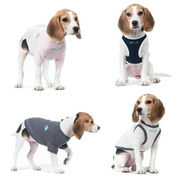春と夏の新しいペットの犬の服カジュアルな綿の細い犬のベスト春と夏の二本足の服