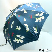 【雨傘】【長傘】アルバリーナ・つやつやサテン生地カラー柄グラスファイバー骨ジャンプ雨傘