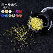 マニキュア糸 DIYの金と銀のワイヤー ネイルデコレーション オプションの12色