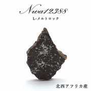【 一点物 】 NWA12388 隕石 アフリカ産 L-メルトロック NWA12388隕石 コンドライト 原石 天然石