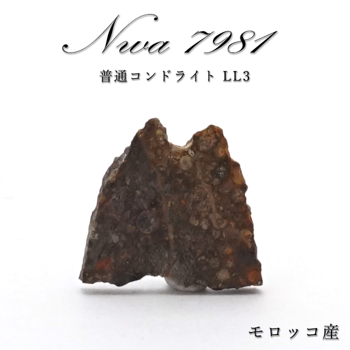 【 一点物 】 NWA7981 隕石 モロッコ産 普通コンドライト LL3 隕石 コンドライト 原石 天然石