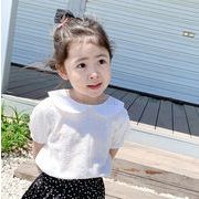 INS 2022春夏新作 韓国子供服  ピュアカラー 半袖シャツ  トップス 純色 可愛い 子供服 80-130CM