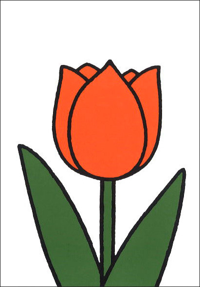 ポストカード ミッフィー/ディック・ブルーナ「オレンジのチューリップ」イラスト 絵本 花