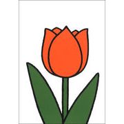 ポストカード ミッフィー/ディック・ブルーナ「オレンジのチューリップ」イラスト 絵本 花