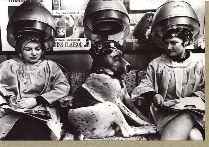 グリーティングカード 多目的 モノクロ写真「二人の女性と一匹の犬」フォト