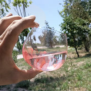 今日もまた褒められた日です INSスタイル ガラスカップ 菊飲料 小さな淡水 水カップ タンブラー