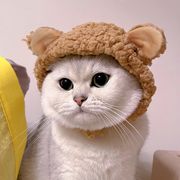 ペット用品 帽子 かぶりもの 猫 コスプレ 衣装 ハロウィン パーティ 仮装
