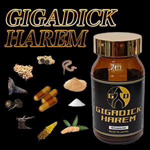 GIGADICK HAREM(ギガディックハーレム)2025.10