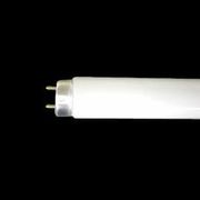 直管蛍光灯 40形 ラピッドスタート式 内面導電被膜方式 フルホワイト 昼白色