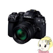 カメラレンズキット パナソニック ミラーレス一眼カメラ LUMIX DC-G99DH 標準ズームレンズキット DC-G9
