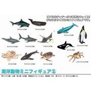海洋動物ミニフィギュア2