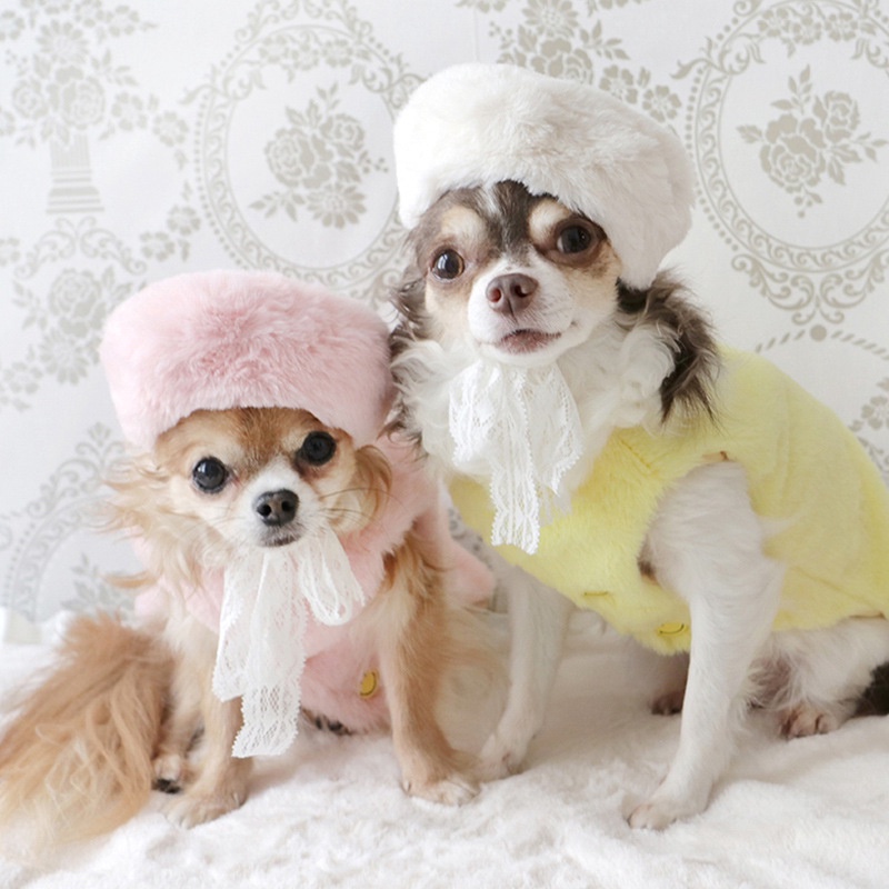 【秋冬新作】  ペット 帽子 可愛い レース付き 全2色　ドッグウェア 犬猫兼用 ペット用品 ネコ雑貨