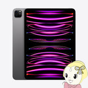 iPad Pro 11インチ 第4世代 Wi-Fi 2TB 2022年秋モデル MNXM3J/A [スペースグレイ]