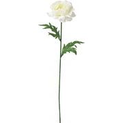 【造花】シングルラナンキュラス　ホワイト　ＦＦ－３０５６Ｗ
