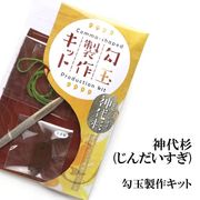 勾玉製作キット　【パワーズウッド】神代杉　日本製　神秘性　浄化　ヒーリング　最大の愛情　天然木