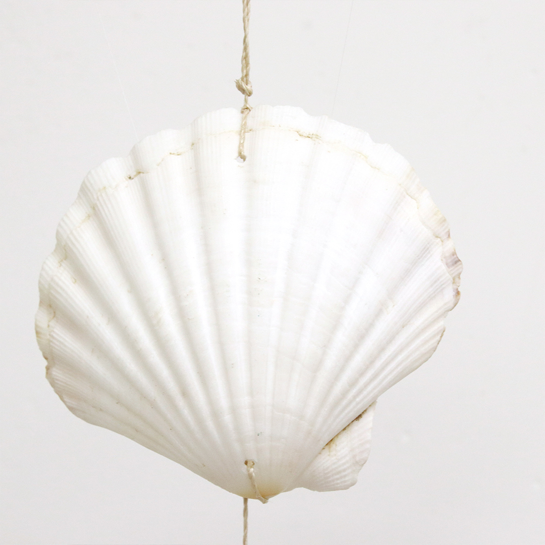 流木ガーランド[飾り オーナメント シェル貝 夏 マリン トロピカル