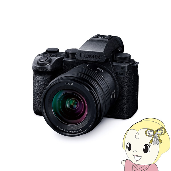 デジタル一眼カメラ Panasonic パナソニック LUMIX DC-S5M2XK 標準ズームレンズキット DC-S5M2XK-LK