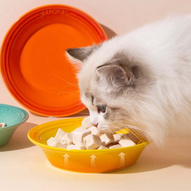 【2023春夏新作】 ペット用小皿　全8種 丸皿 プレート 猫柄 ネコ柄 食器 犬猫兼用