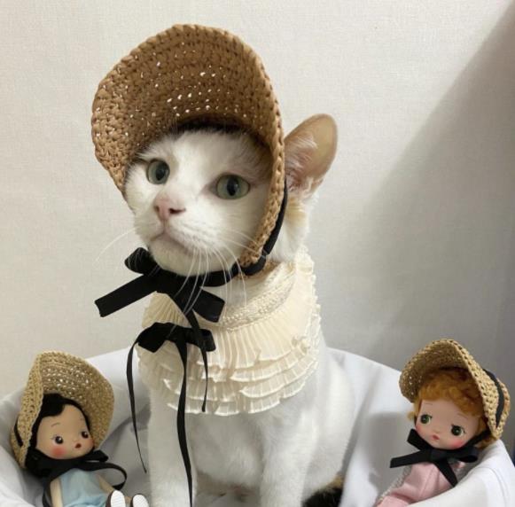ヴィンテージ風 猫ちやん リラックスパンツ レトロ ネコ （夏