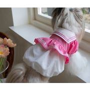 人気新作  小型犬服   ペット服  ペット用品  ネコ雑貨 犬服   猫犬兼用2色