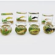 金魚鉢  模型  インテリア置物  ミニチュア   モデル  デコレーション   デコパーツ  ドールハウス用