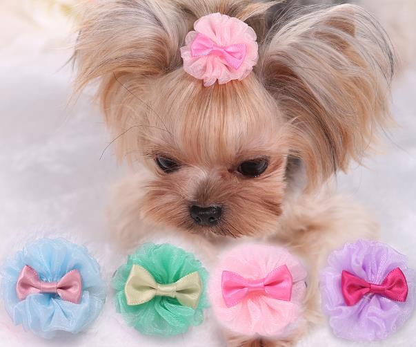 新作 犬用品 ペット用品 猫犬兼用  超可愛い     ネコ雑貨 ヘアピン  髪飾り  4色