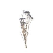 造花　ドライ　ディスプレイ　ＡＮ８０００３　ライスフラワー　＃０６３　グレイ