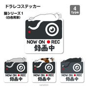 【猫シリーズ１（白色背景）】ドラレコ　ドライブレコーダーステッカー シール １枚