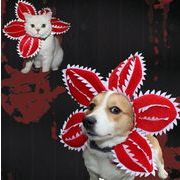 帽子　アウター　ペット 犬用　ペット用品　猫用　ハロウィン コスプレ