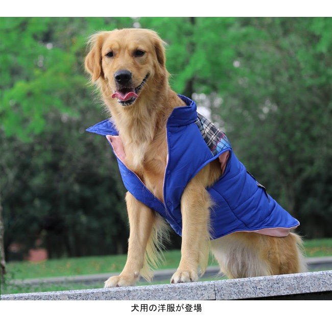 犬服 ドッグウエア 中綿 大型犬 ペット服 厚手 ハスキー サモエド ゴールデンレトリバー 中型犬 株式会社 EMSテクノロジー  問屋・仕入れ・卸・卸売の専門【仕入れならNETSEA】