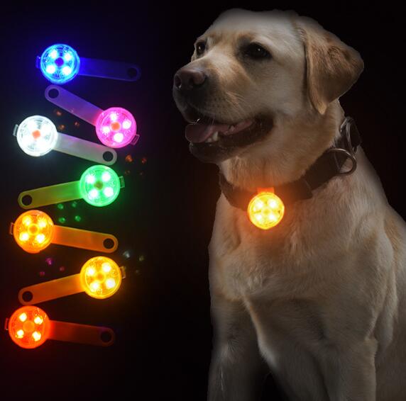 犬 お散歩ライト LED 夜間 夜 ライト 光る 首輪 リード 小型犬 中型犬 ペット 反射 USB充電