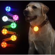 犬 お散歩ライト LED 夜間 夜 ライト 光る 首輪 リード 小型犬 中型犬 ペット 反射 USB充電