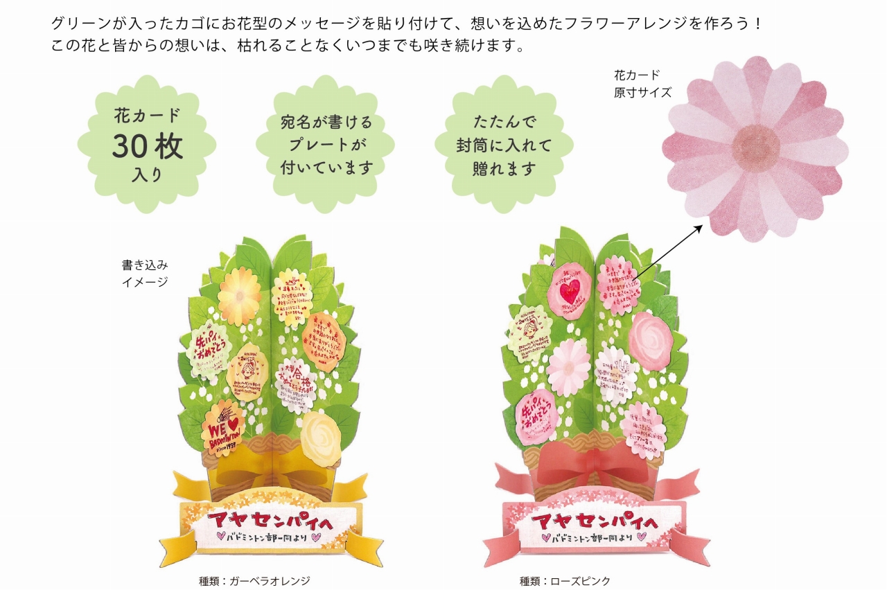 色紙 メッセージプランツ ローズピンク AR0819180 | 卸売・ 問屋
