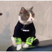 ペット用品 ペット服 トレーナー レイヤード 小犬 お出かけ