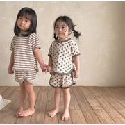 2024 ins  韓国風子供服 ベビー服   ドットor  ボーダー柄   Tシャツ +ショートパンツ  セットアップ 2色