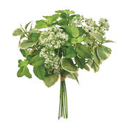 MAGIQ　アンジェリカハーブブーケ　グリーン　1束