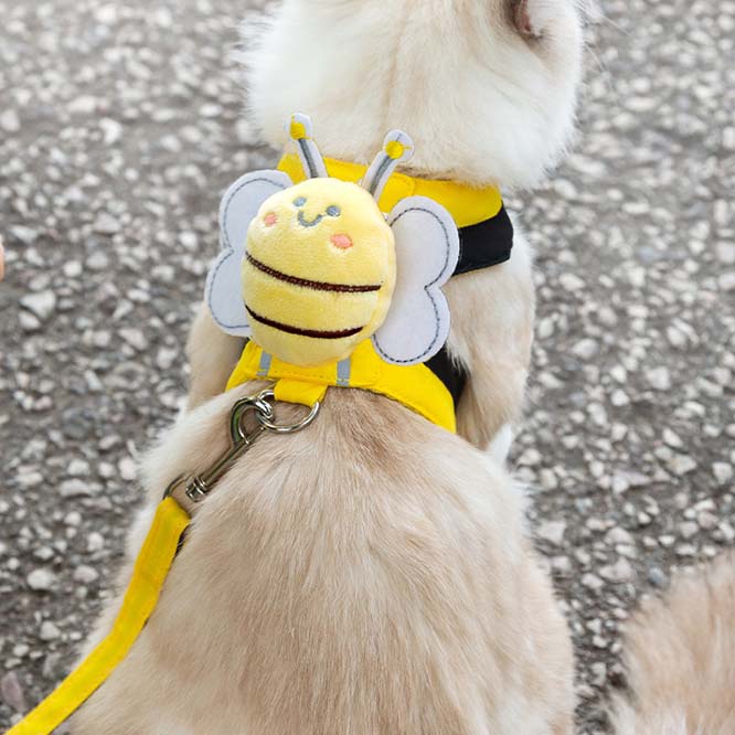 【2024春新作】 ペット用品 牽引ロープ リーシュ&ハーネス 2点セット 胸背 お散歩 可愛い ミツバチ模様