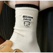 2024★春秋新作★ソックス★レディース靴下★5色