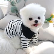 【2024夏新作】 犬服 ペット服 ワンピースORTシャツ ドッグウェア 犬猫兼用 ワンちゃん用 ボーダー柄
