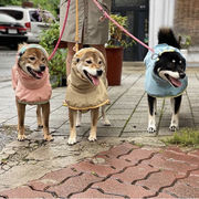 ペット犬のレインコート大型犬の安全反射ストリップフォーシーズンズポンチョ防水ジャケット