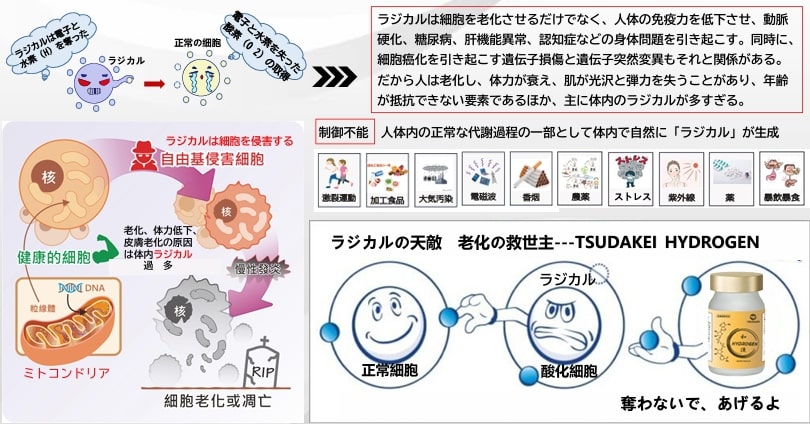 TSUDAKEI 水素 海外大人気☆TSUDAKEI HYDROGEN 和漢 水素サプリメント 90粒
