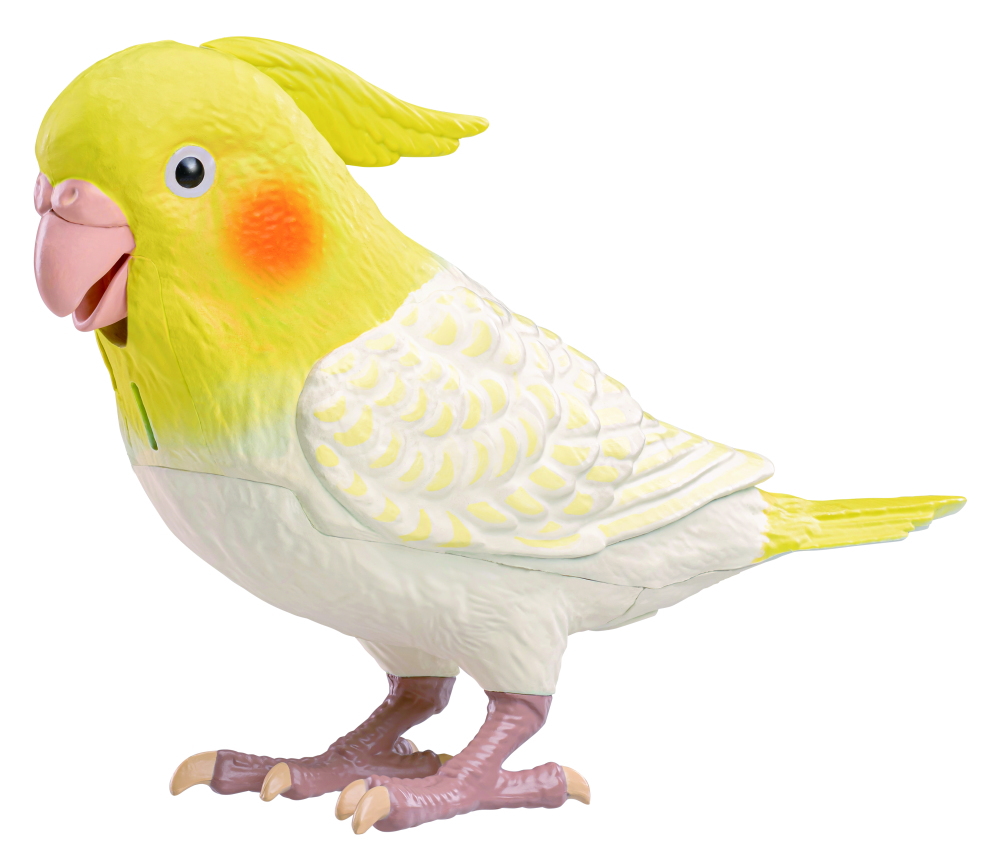 タカラトミーアーツ もっとおしゃべり天才オカメインコちゃん | 卸売