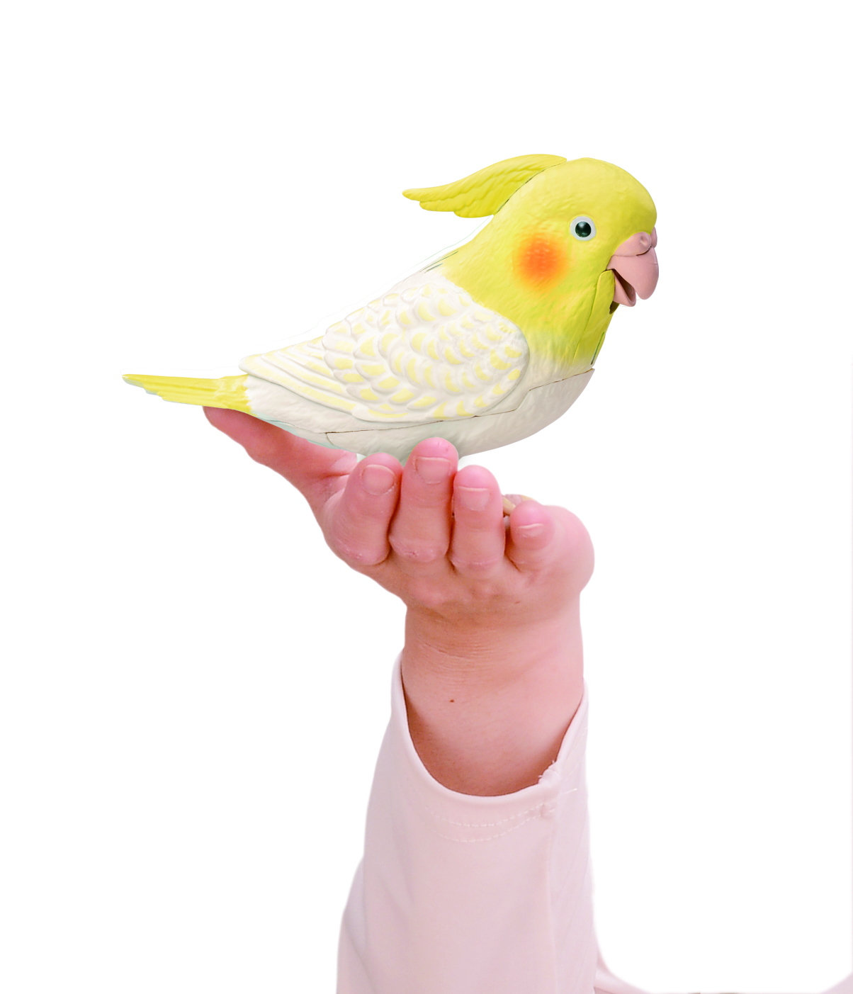 タカラトミーアーツ もっとおしゃべり天才オカメインコちゃん | 卸売