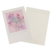 フローラルパレットカード 多目的 ホワイト