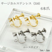 ステンレス316 ネジバネイヤリング カン付き【6爪】3mm 4mm 2個 サージカルステンレス ハンドメイド