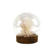 ☆ＬＥＤドライフラワードームライト　ボール　ファウンテングラス