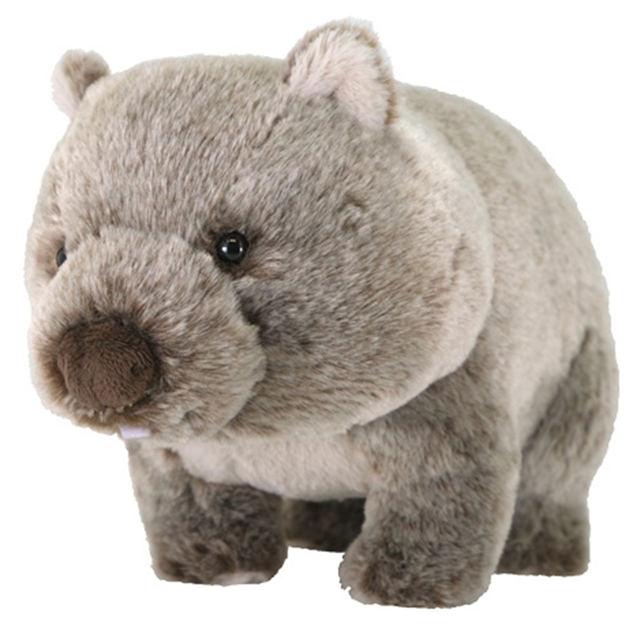 フラッフィーズ ぬいぐるみ M ウォンバット | 卸売・ 問屋